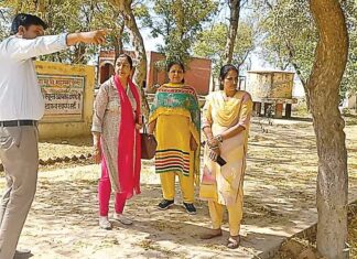 Sirsa News