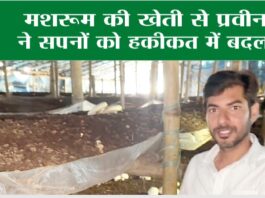 Bhiwani News