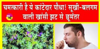 Bhatkataiya Benefits