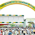Three in One MSG Bhandara