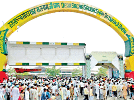 Three in One MSG Bhandara