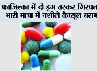 Fazilka