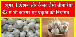 Garlic Health Benefits