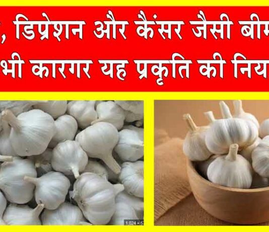Garlic Health Benefits