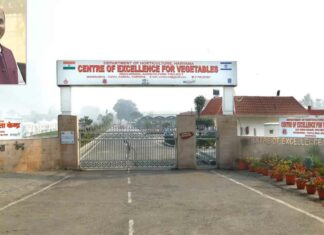 Mega Vegetable Expo: घरौंडा में लगेगा हरियाणा का सबसे बड़ा मेगा सब्जी एक्सपो, हरियाणा के सीएम और कृषि मंत्री करेंगे मेले में शिरकत Karnal News