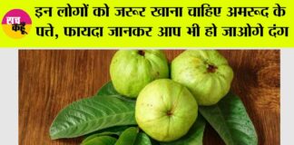 Guava Leaves