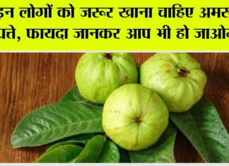 Guava Leaves
