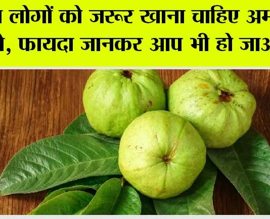 Guava Leaves: इन लोगों को जरूर खाना चाहिए अमरूद के पत्ते, फायदा जानकर आप भी हो जाओगे दंग Guava Leaves