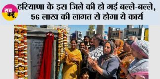 Haryana Government News