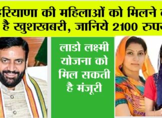 Haryana News