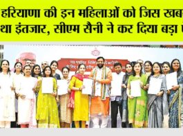Haryana News