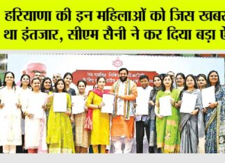 Haryana News