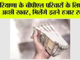 Haryana News