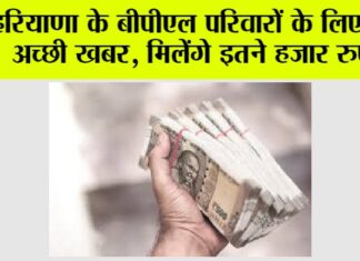 Haryana News: हरियाणा के बीपीएल परिवारों के लिए आई अच्छी खबर, मिलेंगे इतने हजार रुपये Haryana News