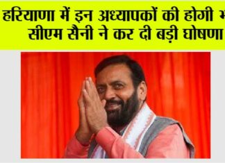 Haryana News
