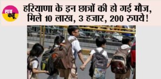 Haryana News