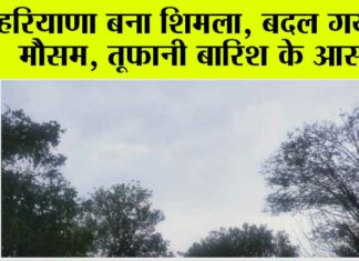Haryana Weather