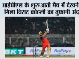 IPL News