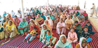 Jakhal News