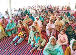 Jakhal News