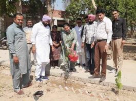 Sirsa News
