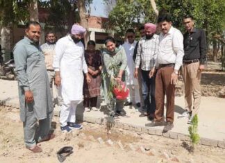 Sirsa News