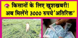 Rajasthan News