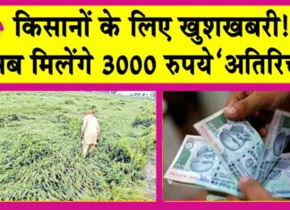 Rajasthan News