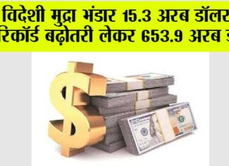Foreign Exchange Reserves