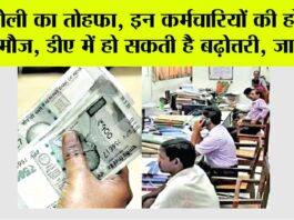 DA Hike: होली का तोहफा, इन कर्मचारियों की हो गई मौज, डीए में हो सकती है बढ़ोत्तरी, जानिये DA Hike