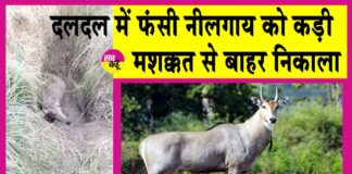 Bhiwani News
