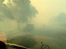 Noida Fire News
