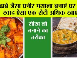 Paneer Masala