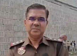 Rohtak Suitcase Body Case