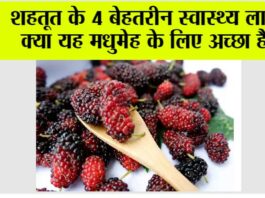 Shahtoot Benefits: शहतूत के 4 बेहतरीन स्वास्थ्य लाभ, क्या यह मधुमेह के लिए अच्छा है? Shahtoot Benefits