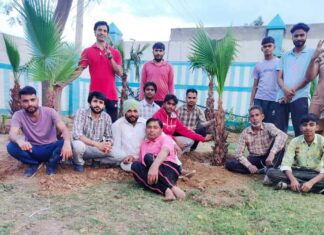 Sirsa News