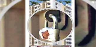 Sirsa News