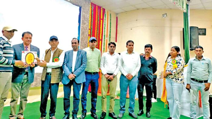 Sirsa News