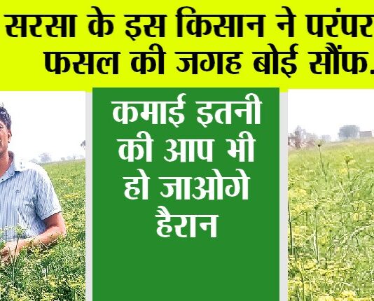 Kisan News