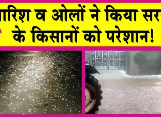Sirsa Weather
