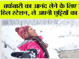 Snowfall Destinations