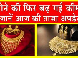 Gold-Silver Price Today