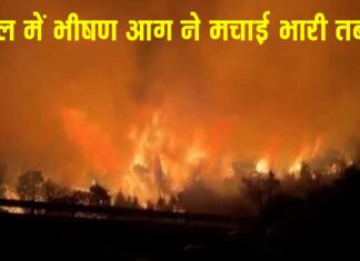 South Korea Wildfires