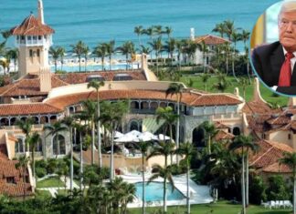 Trump's resort News