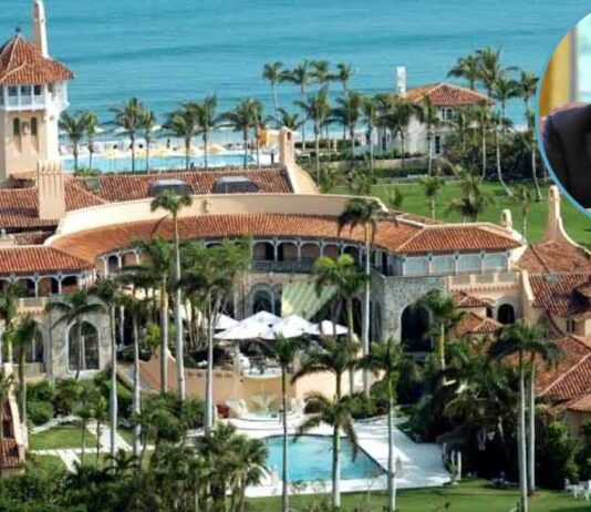 Trump's resort News