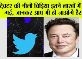 Twitter News