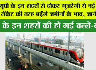 UP Metro News: