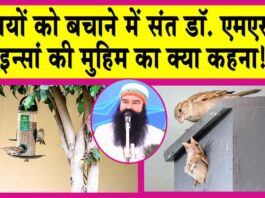 Sirsa News