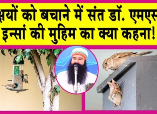 Sirsa News
