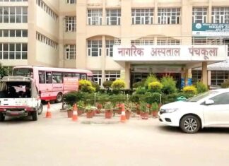 Panchkula News